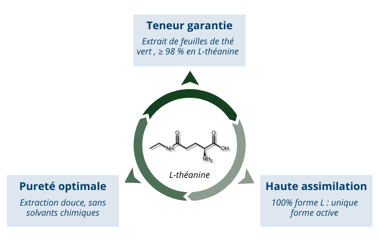 L-théanine Isothéanine®